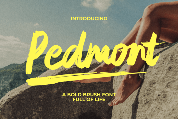 Pedmont Font Review: An Expressive Script for Modern Design