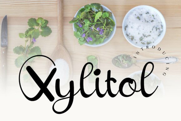 Xylitol: An Elegant Script Handwritten Font for Editorial Design